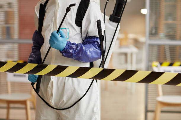 Professional Sewage Cleanup technician working in Hudson, TX